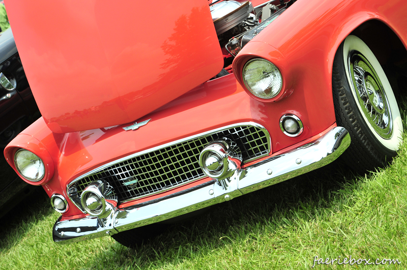 '56 T-bird