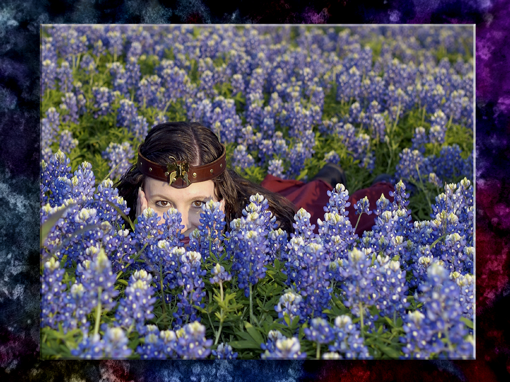 Bluebonnet Peek-a-Boo