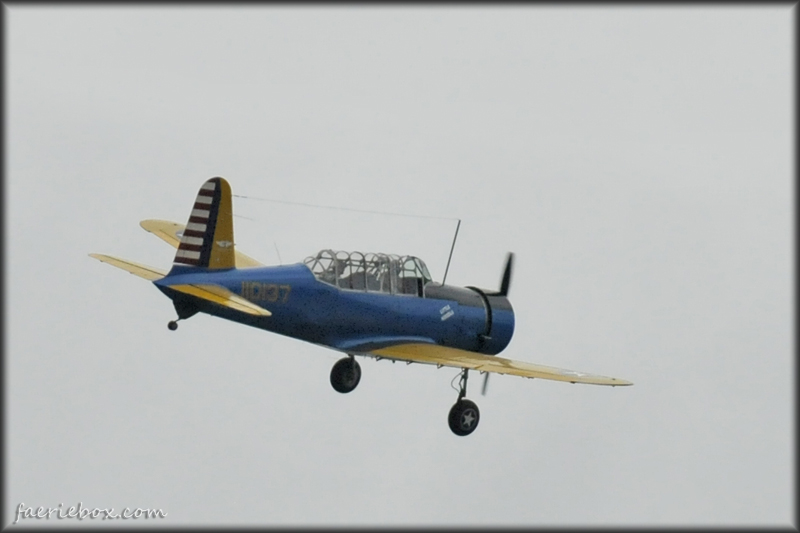 BT-15 Valiant a.k.a. Little Noodle