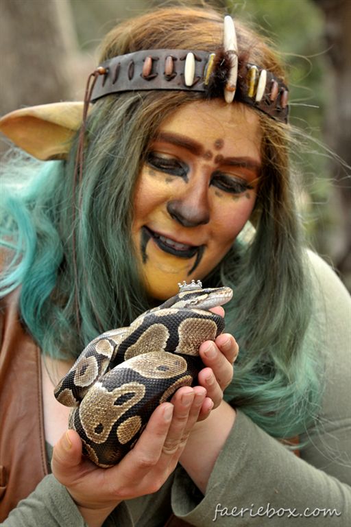 Aayla & python