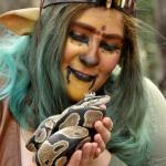 Aayla & python