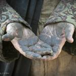 tree planting hands