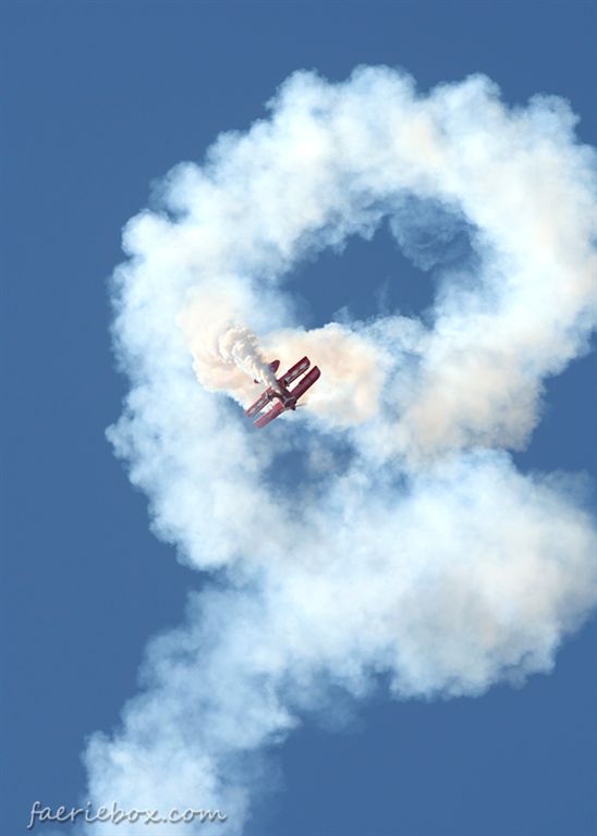 Pitts spin