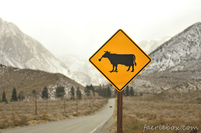 CowaBONGaaa!