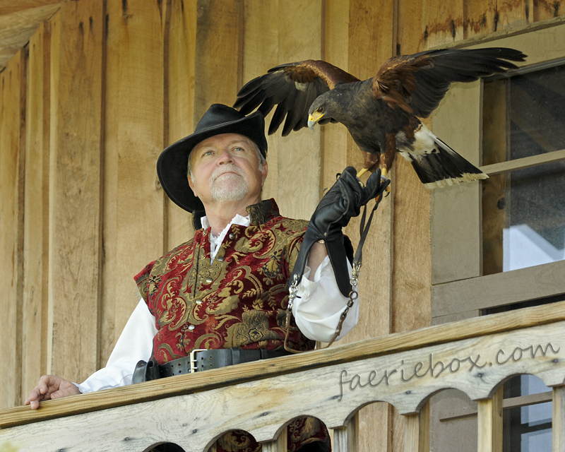 Sir Vinterhawk