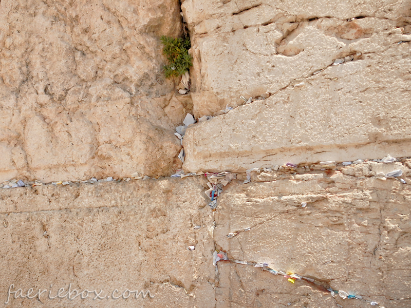prayers in the Western Wall