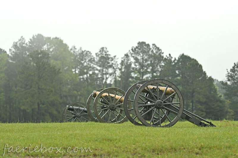 cannons in the rain