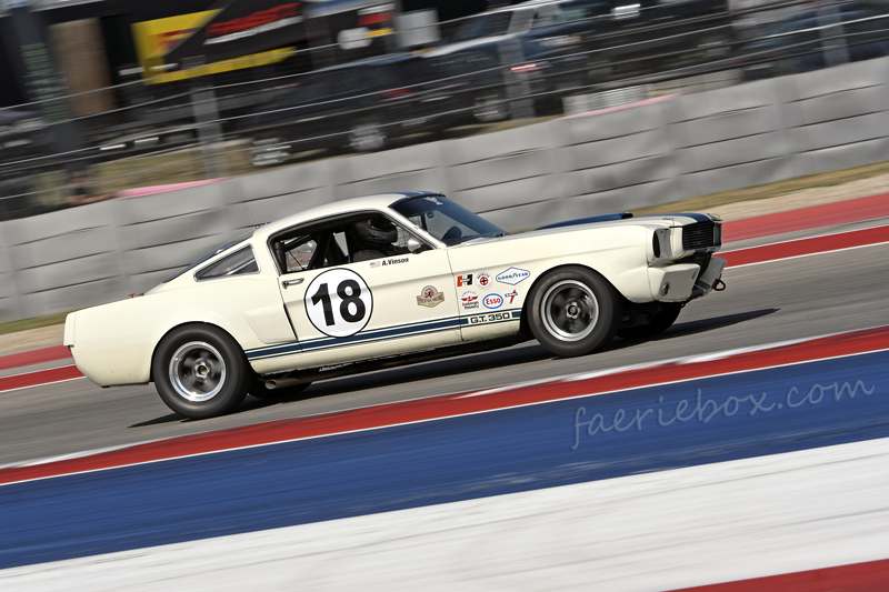 '66 Shelby GT350
