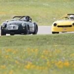 '59 MG A & '73 Fiat Spider