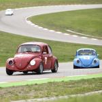 '66 & '62 Bugs