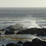 crashing waves in CA