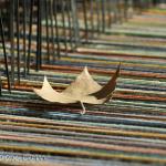 leaf on the loom