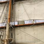Elissa's Sails