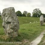 Stones of Avebury